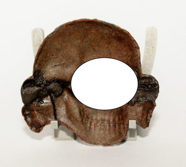 Totenkopf für die Schirmmütze der SS - Zink – Bild 2