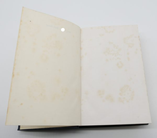 Buch - Mein Kampf - Volksausgabe von 1935 – Bild 7