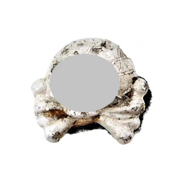 Totenkopf – Auflage für den Kragenspiegel – Panzerbesatzungen – Panzer - Bodenfund