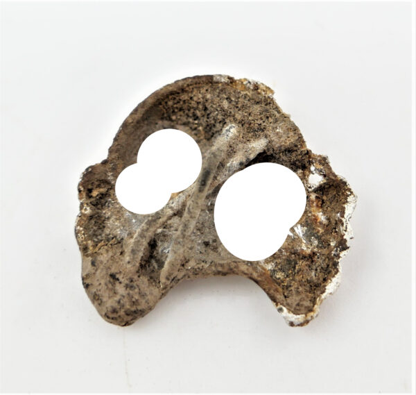 Totenkopf – Auflage für den Kragenspiegel – Panzerbesatzungen – Panzer – Bodenfund – Bild 2