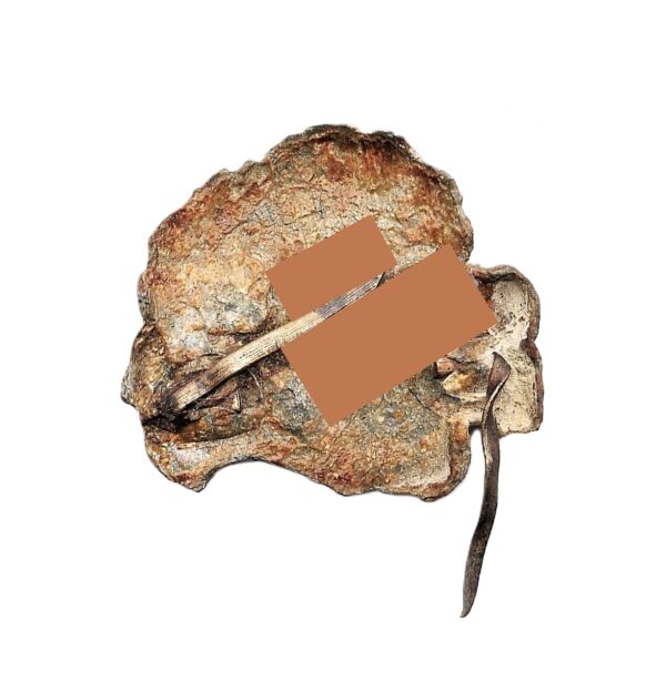Totenkopf für die Schirmmütze der SS - Skull – Bodenfund – Bild 2