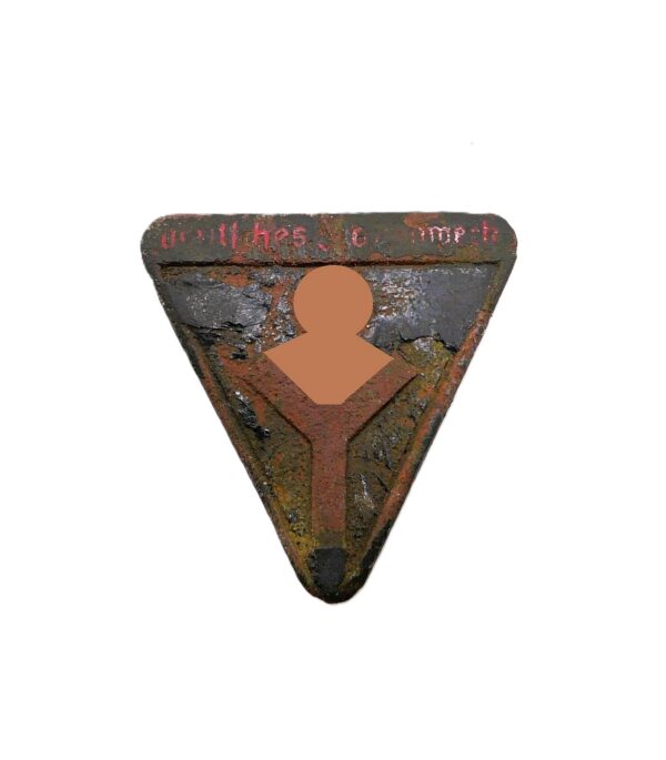 Abzeichen - Mitgliedsabzeichen - Deutsches Frauenwerk - Hersteller M1/154 - Bodenfund
