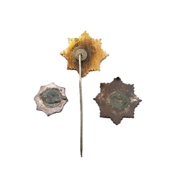 Abzeichen – Mitgliedsabzeichen RLB (Reichsluftschutzbund) – Hersteller Hoffstätter, Bonn – Bodenfund – Luftschutz – Bild 2