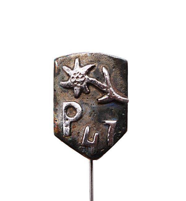 Abzeichen – Divisionsabzeichen – Truppeninternes Abzeichen – Gebirgs-Panzerjäger-Abteilung - P 47